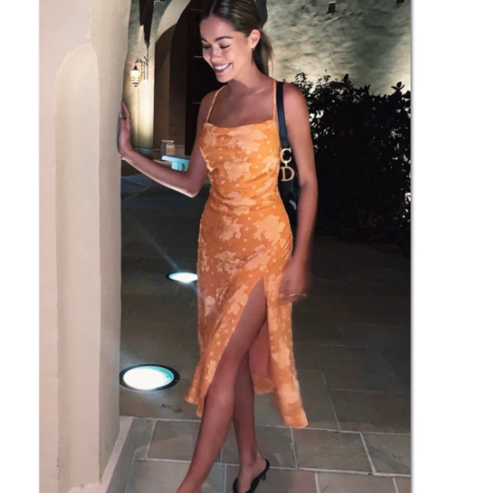 Verge girl forever parisian dress NWT aus12 us8